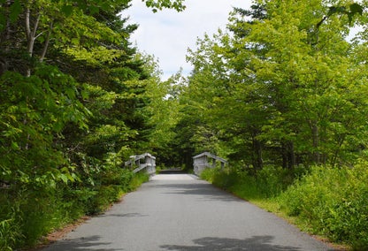 Timberlea walking trail